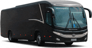 Airport Transfer Bus for up to 48 passengers